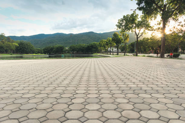 Best Residential Driveway Paver Services  in Vadnais Heights, MN