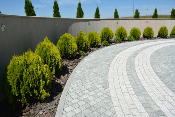 Driveway Repair Near Me in Vadnais Heights, MN